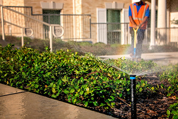 Irrigation sprayhead (Photo: Andy's Sprinkler, Drainage & Lighting)