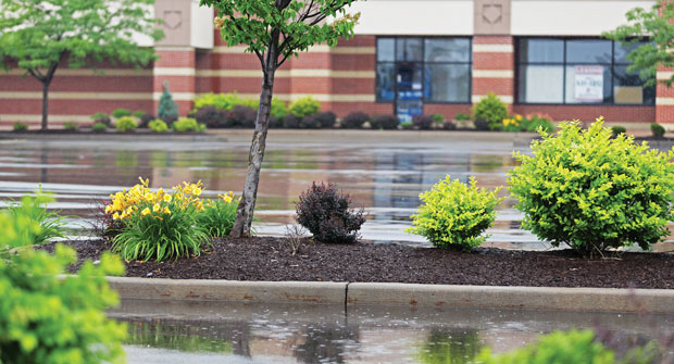 A wet spring in many parts of the country hindered some landscape companies. (Photo: Willowpix/iStock / Getty Images Plus/Getty Images)