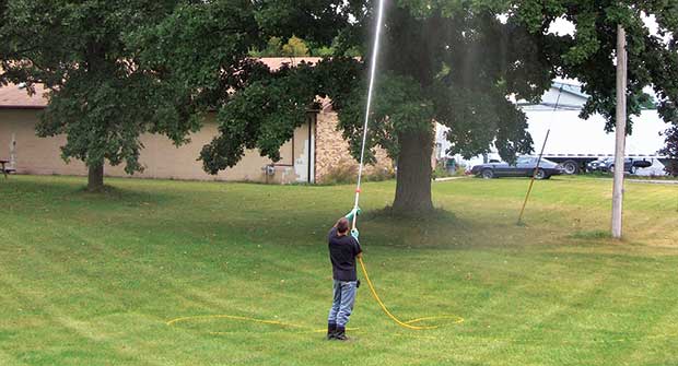 Man spraying tree (Photo: Gregson-Clark Spraying Equipment)