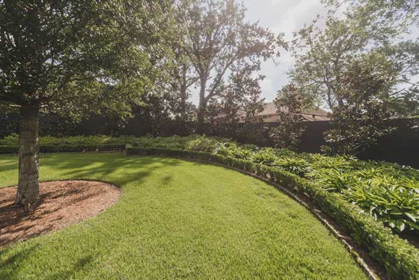 Landscape maintenance project in New Orleans (Photo: LazyEye Photography)