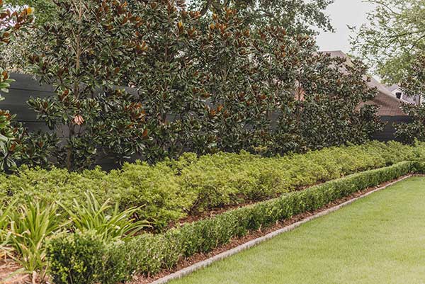 Landscape maintenance project in New Orleans (Photo: LazyEye Photography)